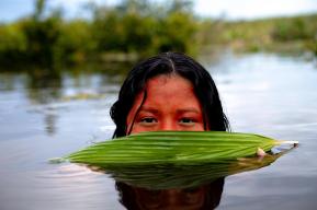 消逝中的亚马逊雨林：本土解决之道