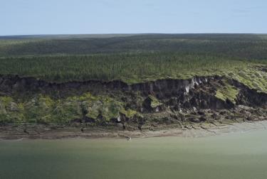 A cross-section of the Duvanny Yar on the right bank of the Kolyma River – three hours by boat from Cherskii – provides a lateral view of the thawing permafrost.